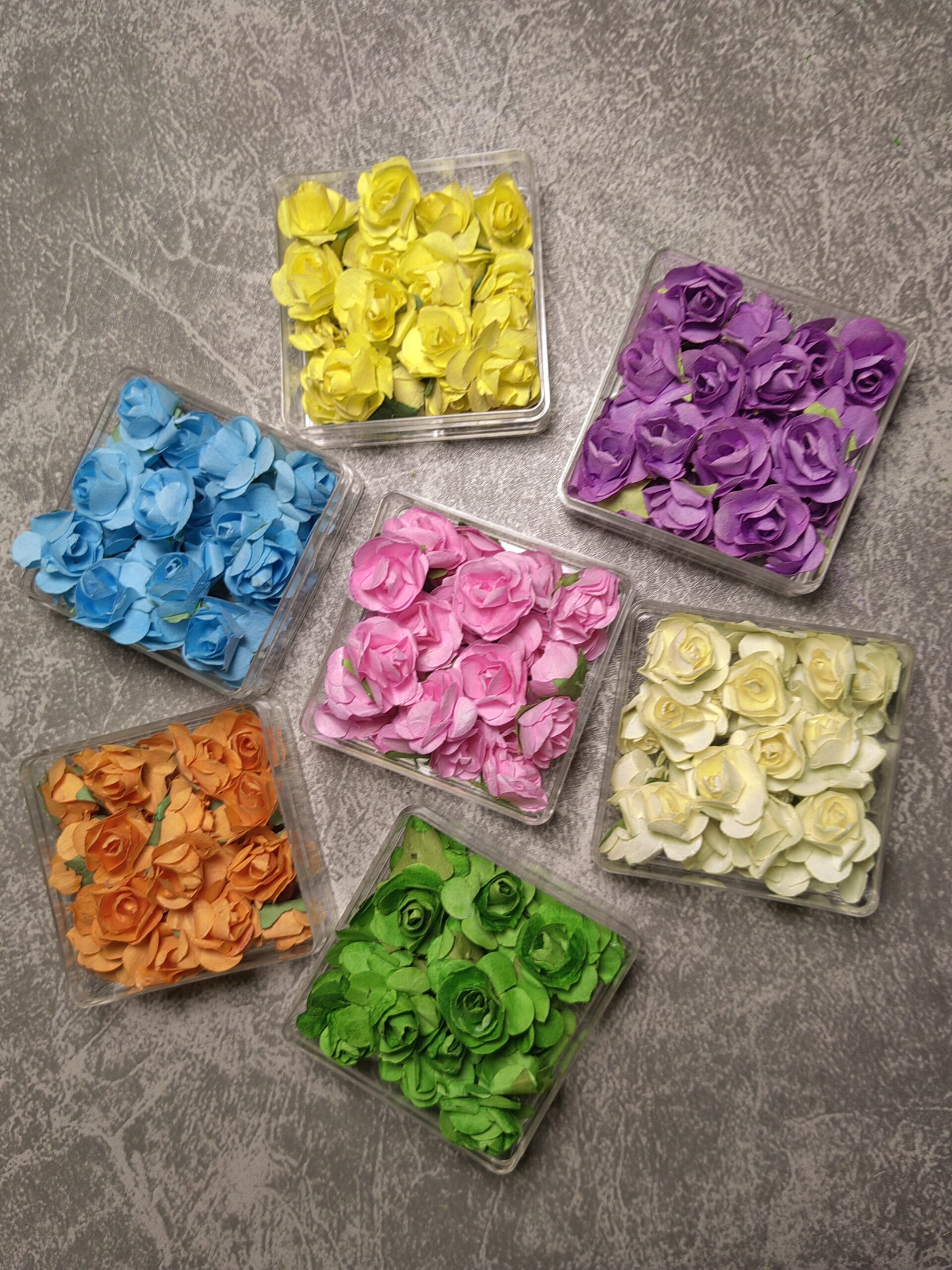 Seven-color rose