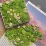 Mixed flowers and plants