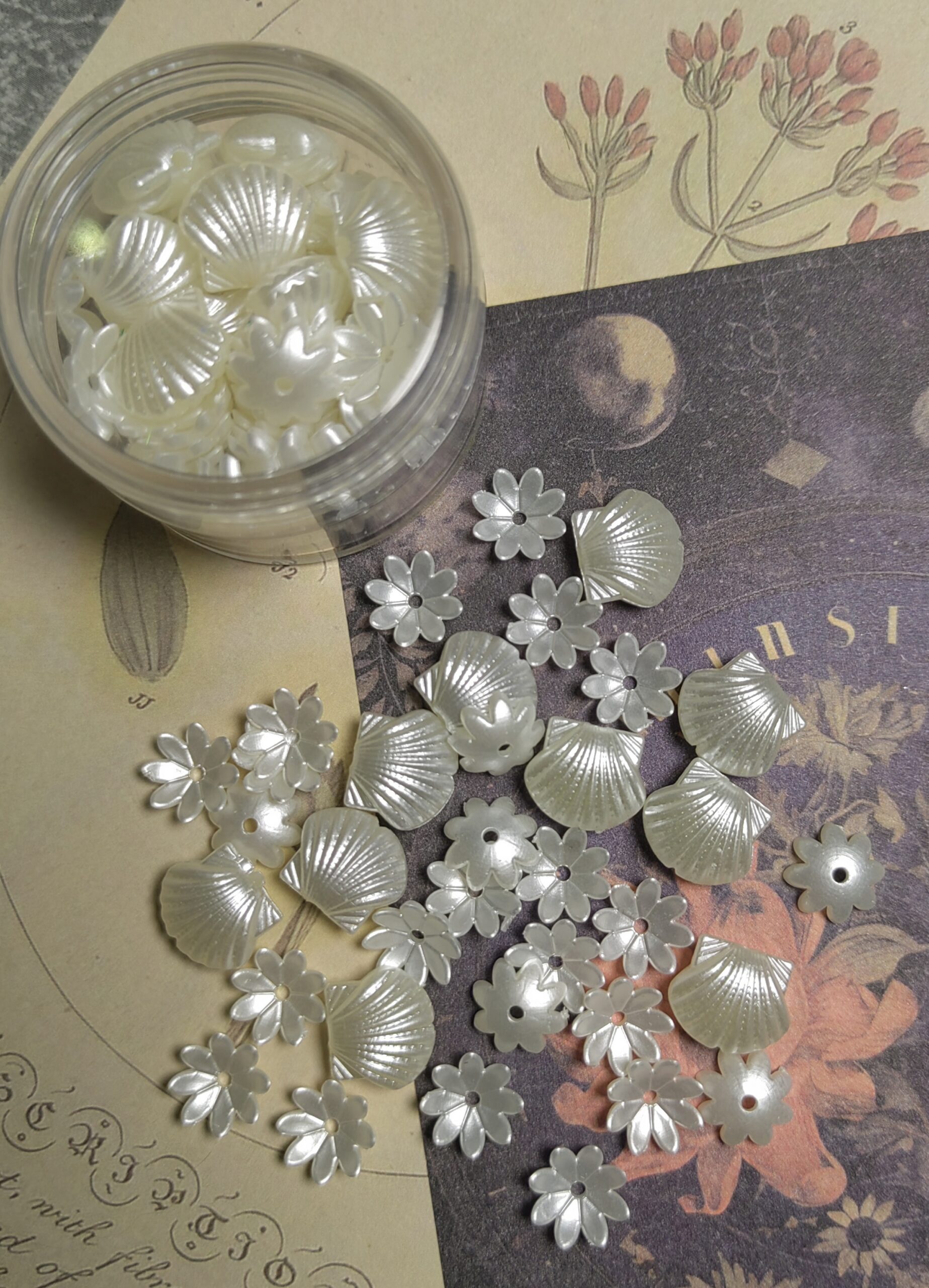 Mini flowers and shells
