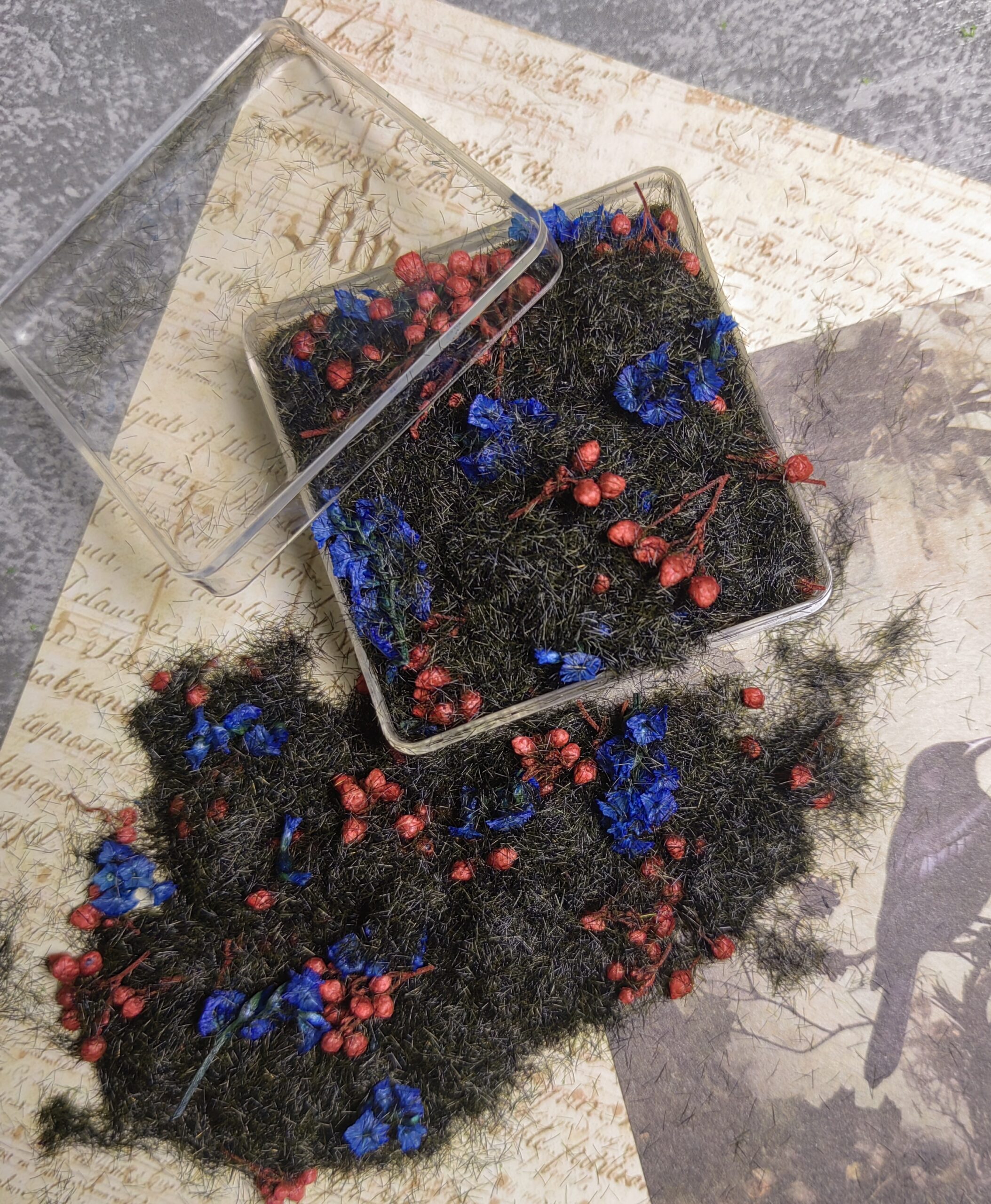 Mixed flowers and plants