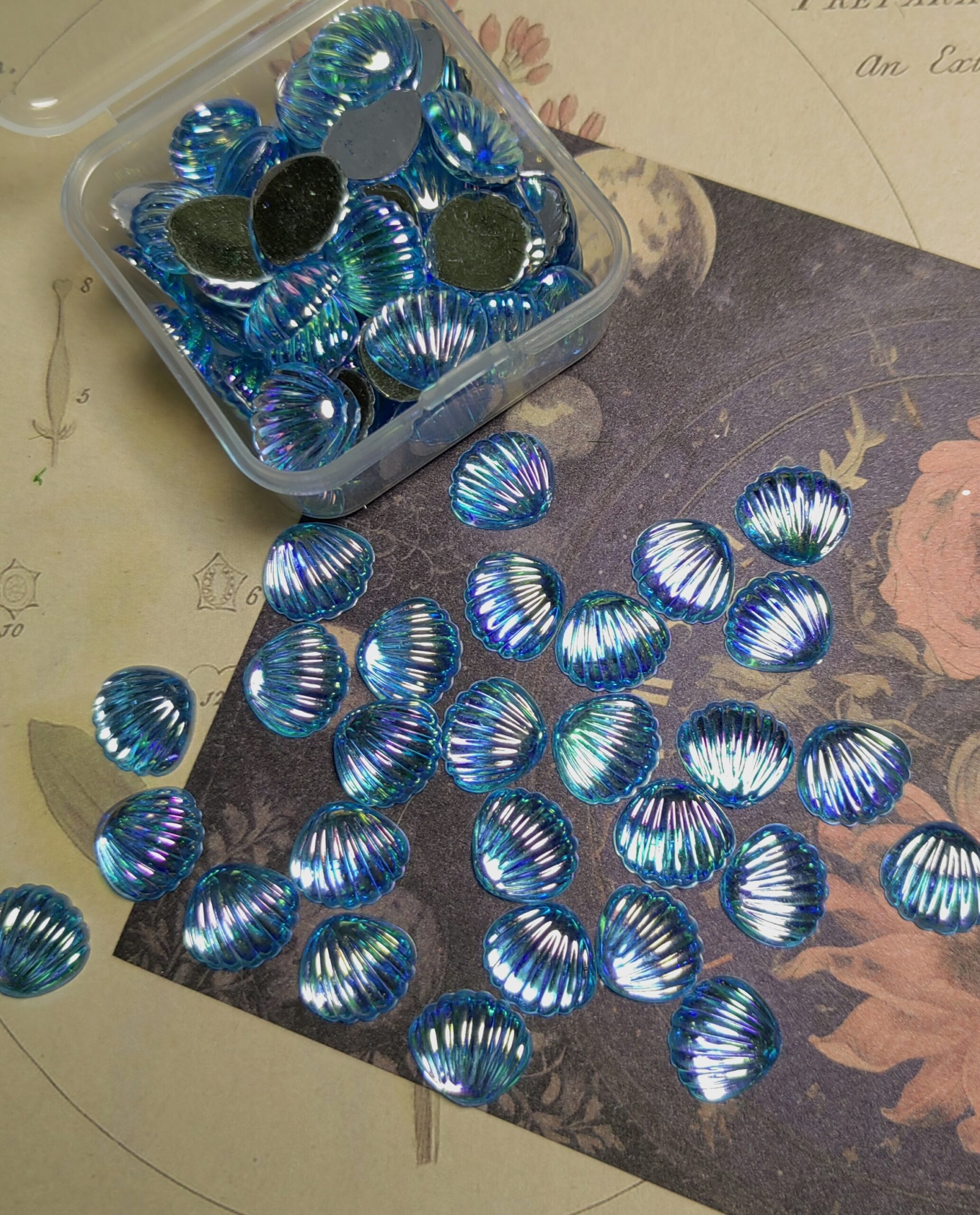 Mini Shells