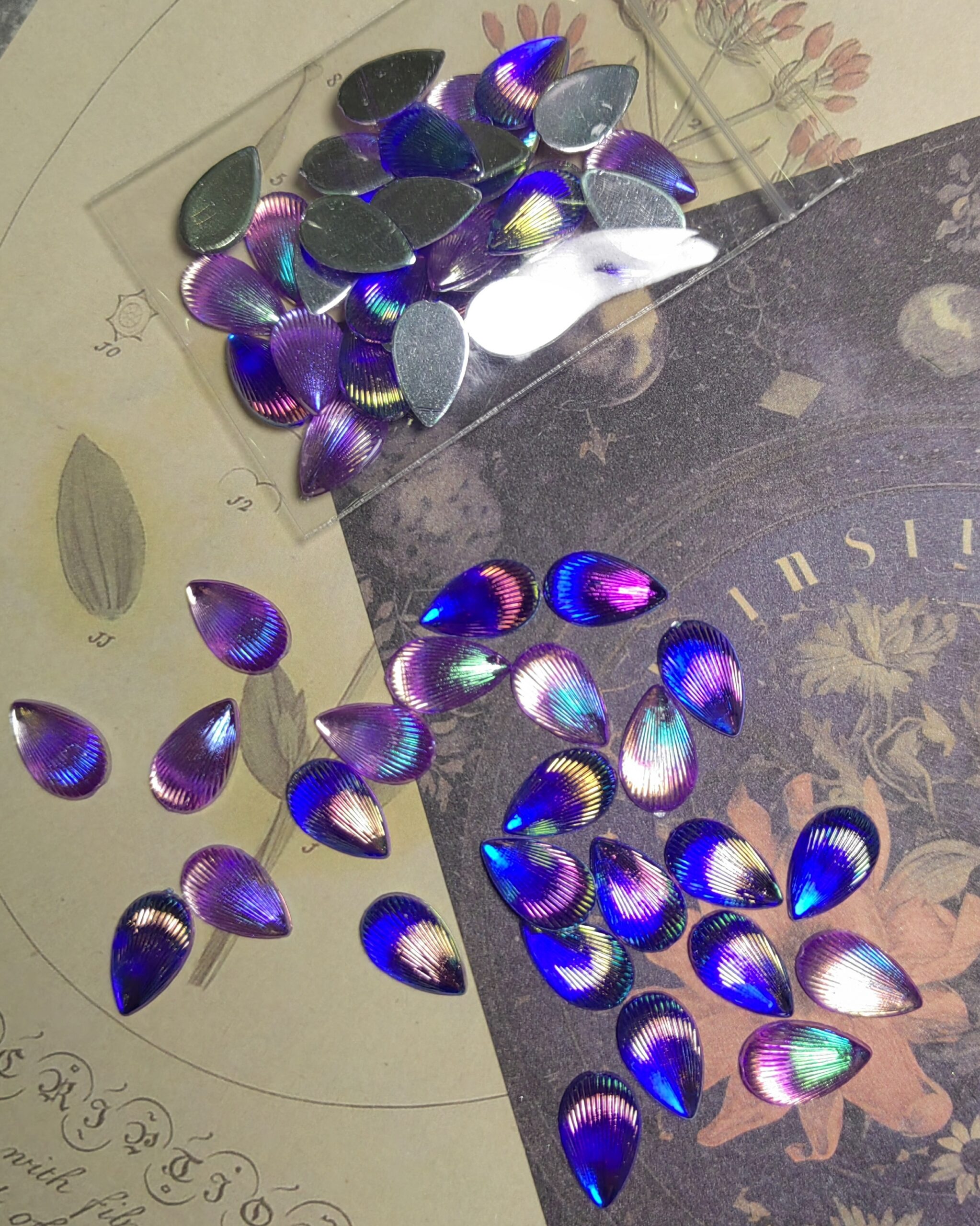 Colorful water drop shells