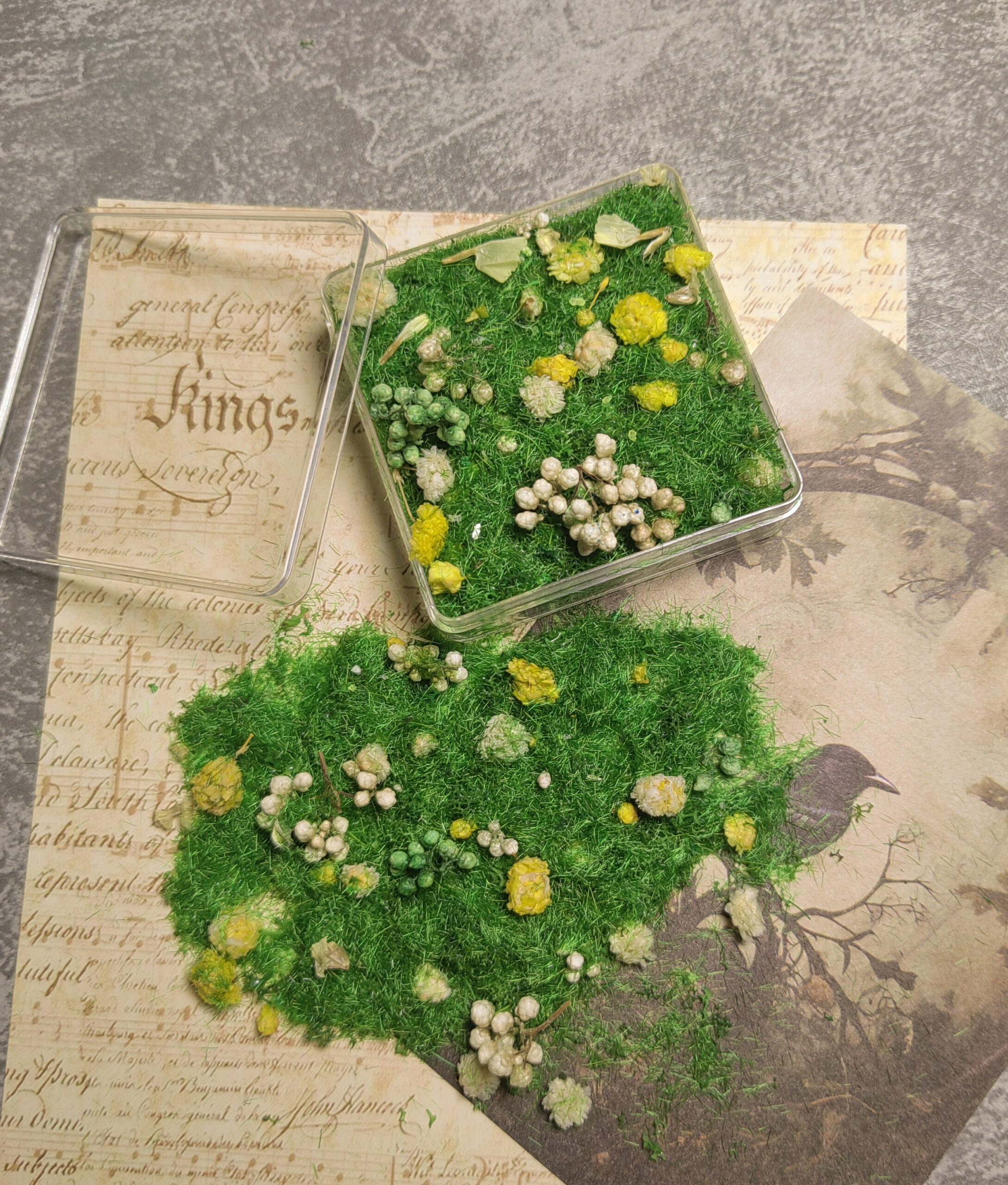 Mixed flowers and plants