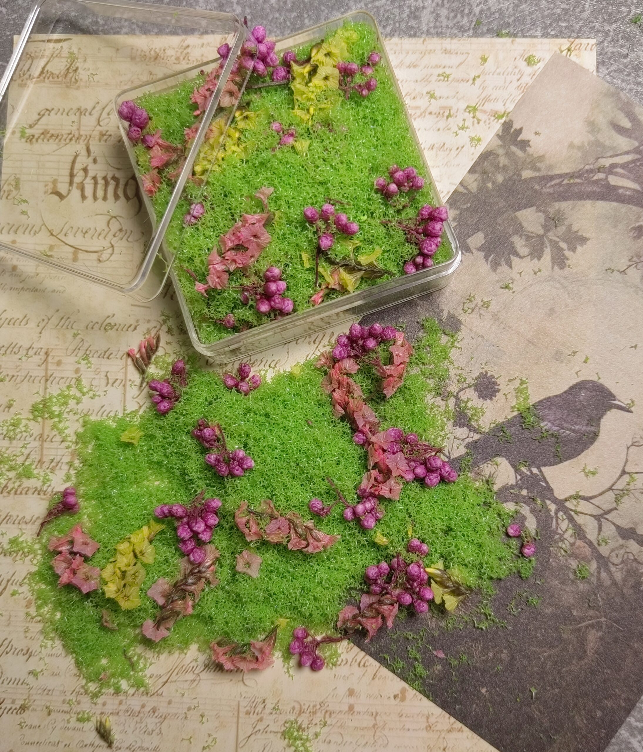 Mixed flowers and plants