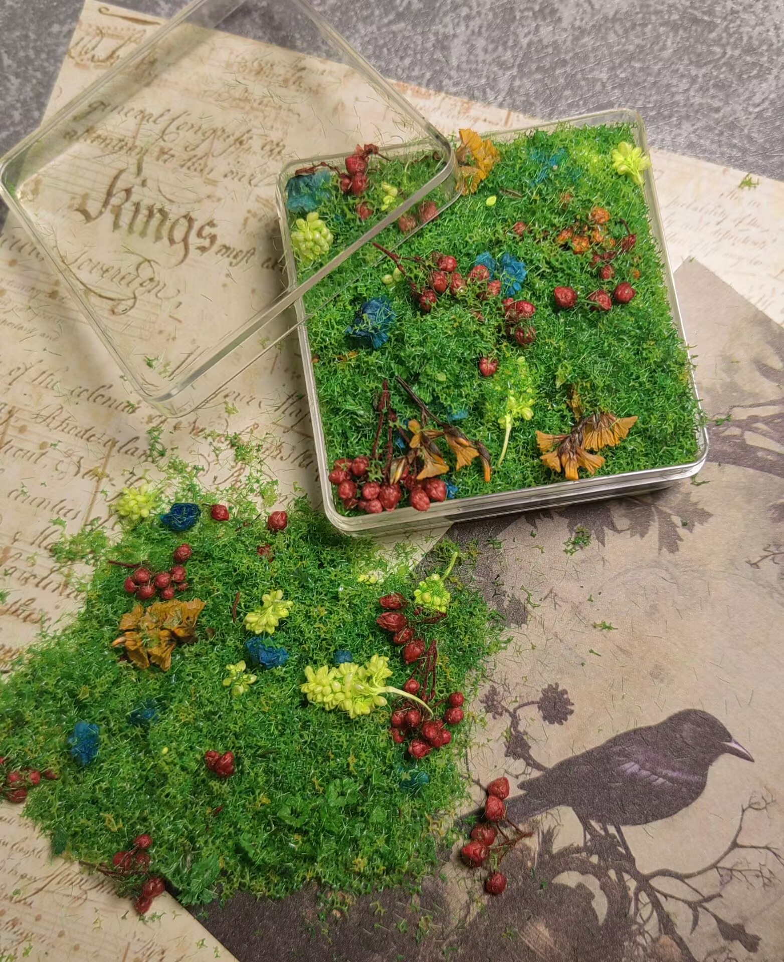 Mixed flowers and plants