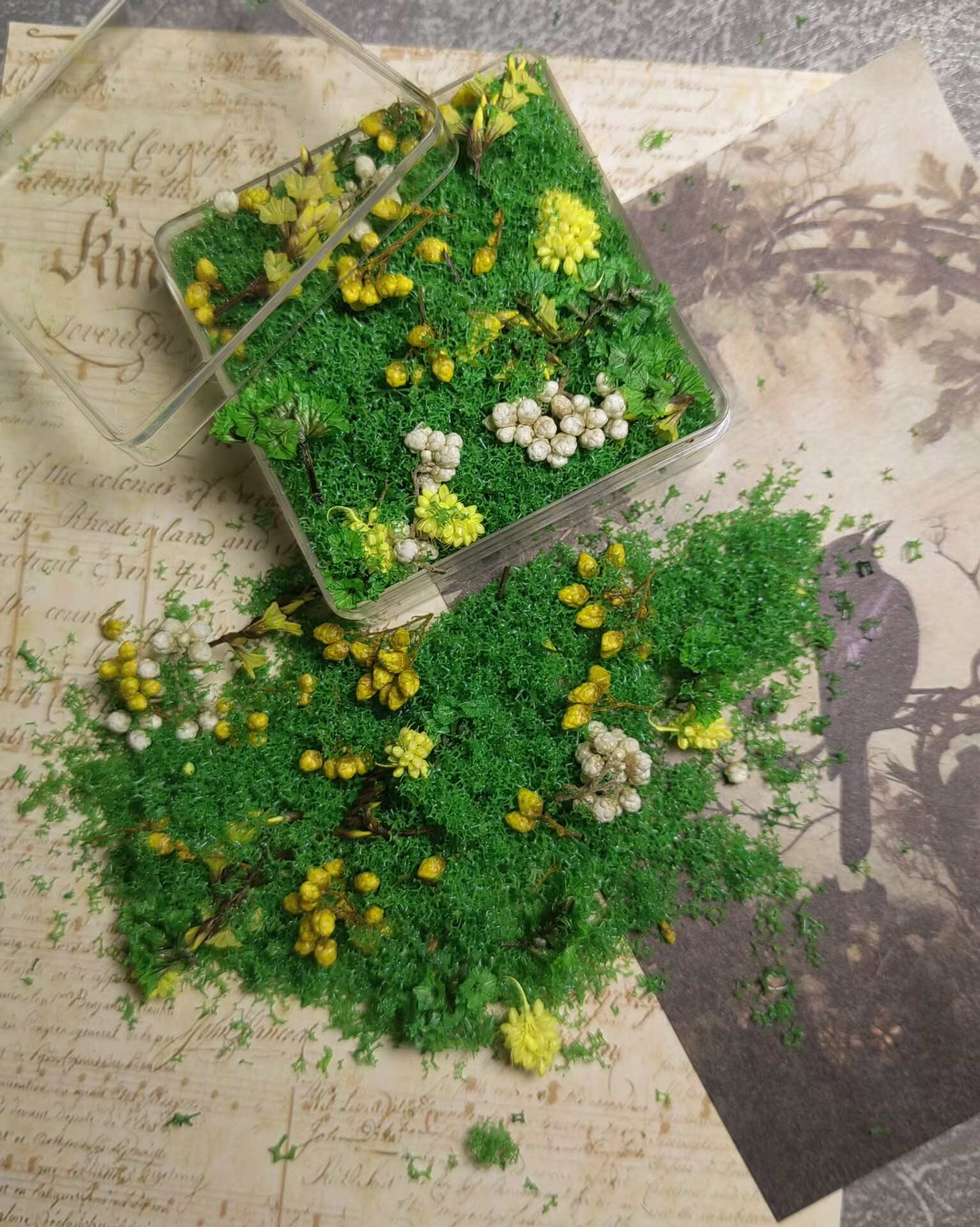 Mixed flowers and plants