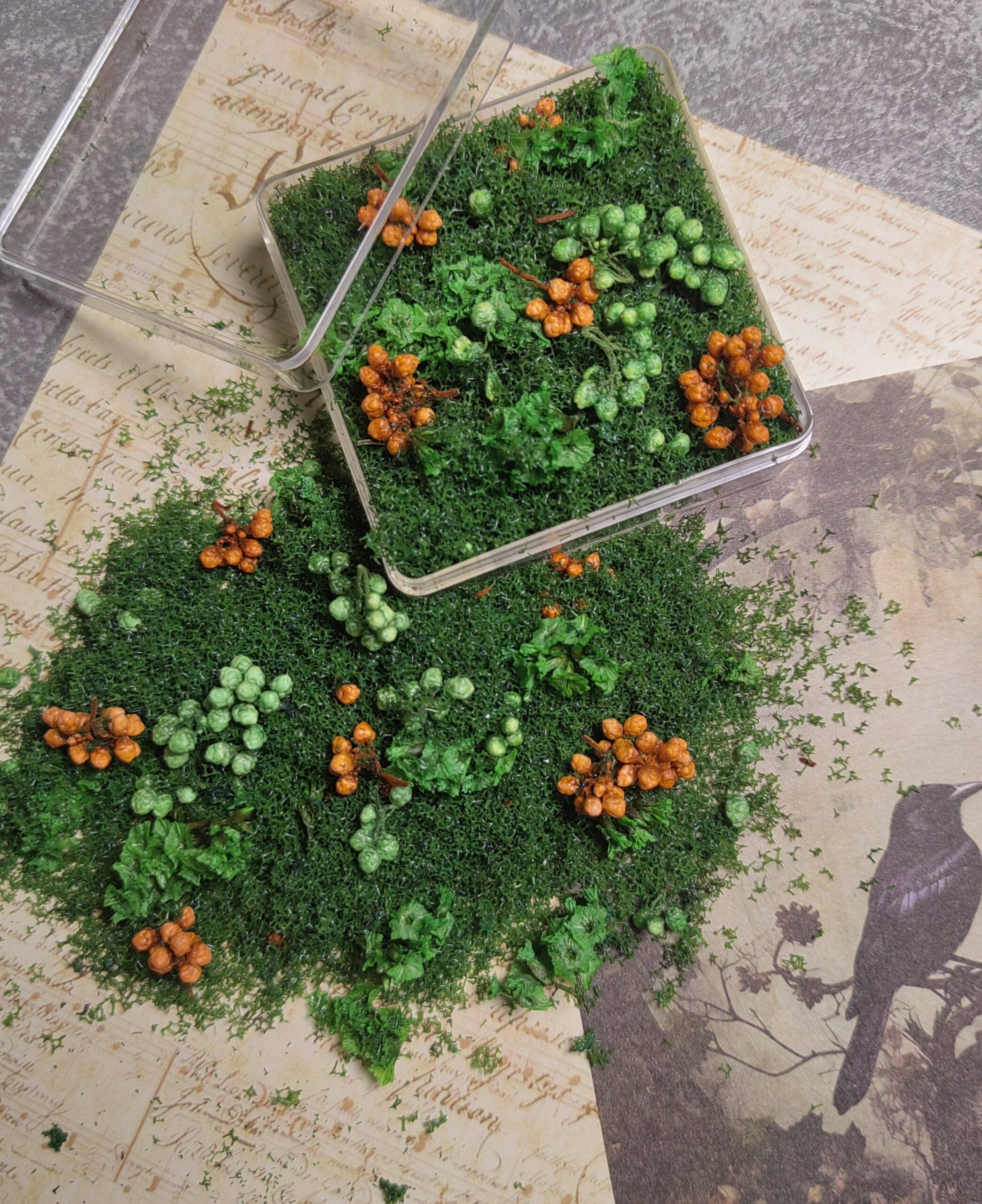 Mixed flowers and plants