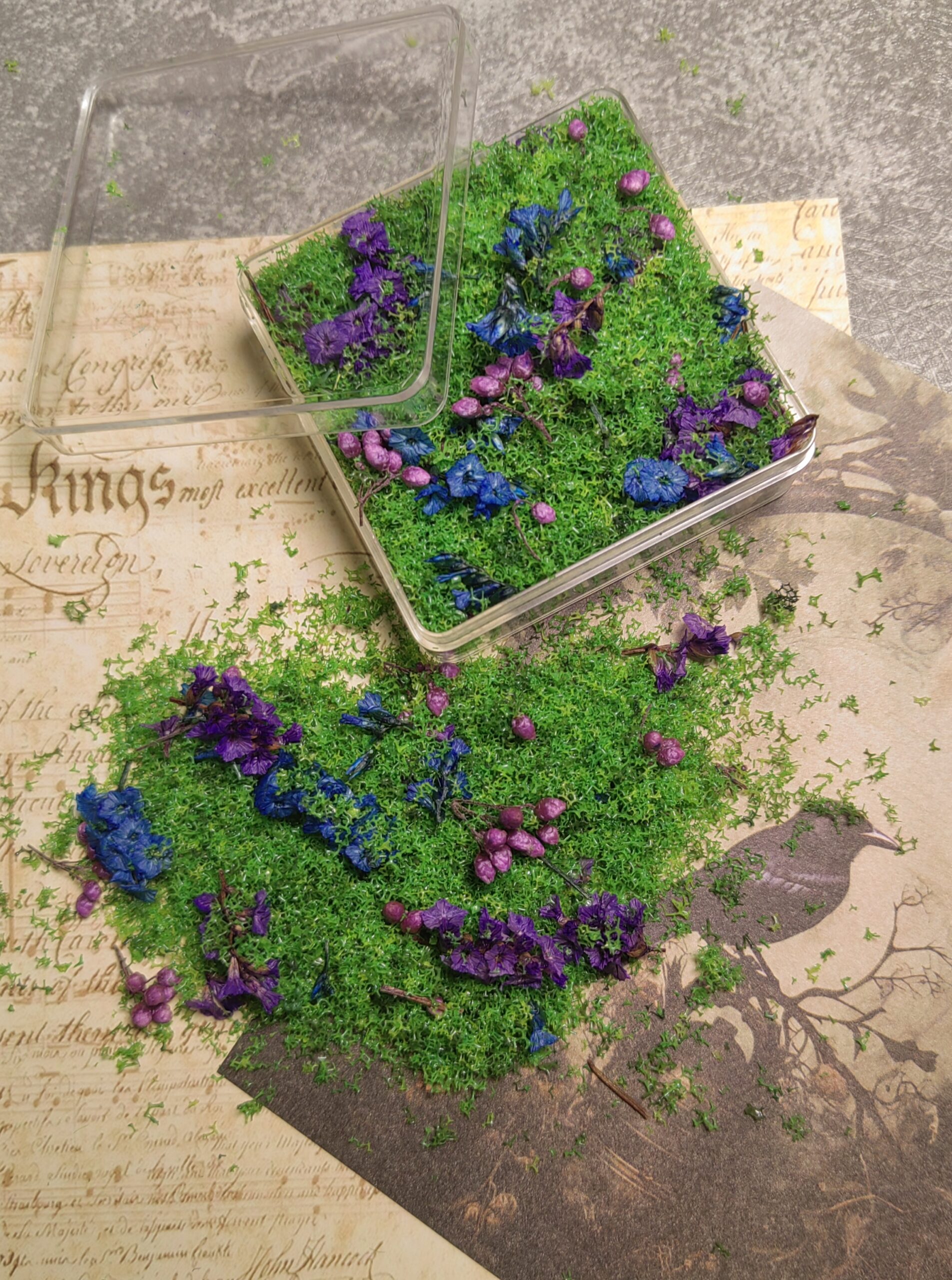 Mixed flowers and plants (复制)