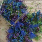 mixed flower and grass