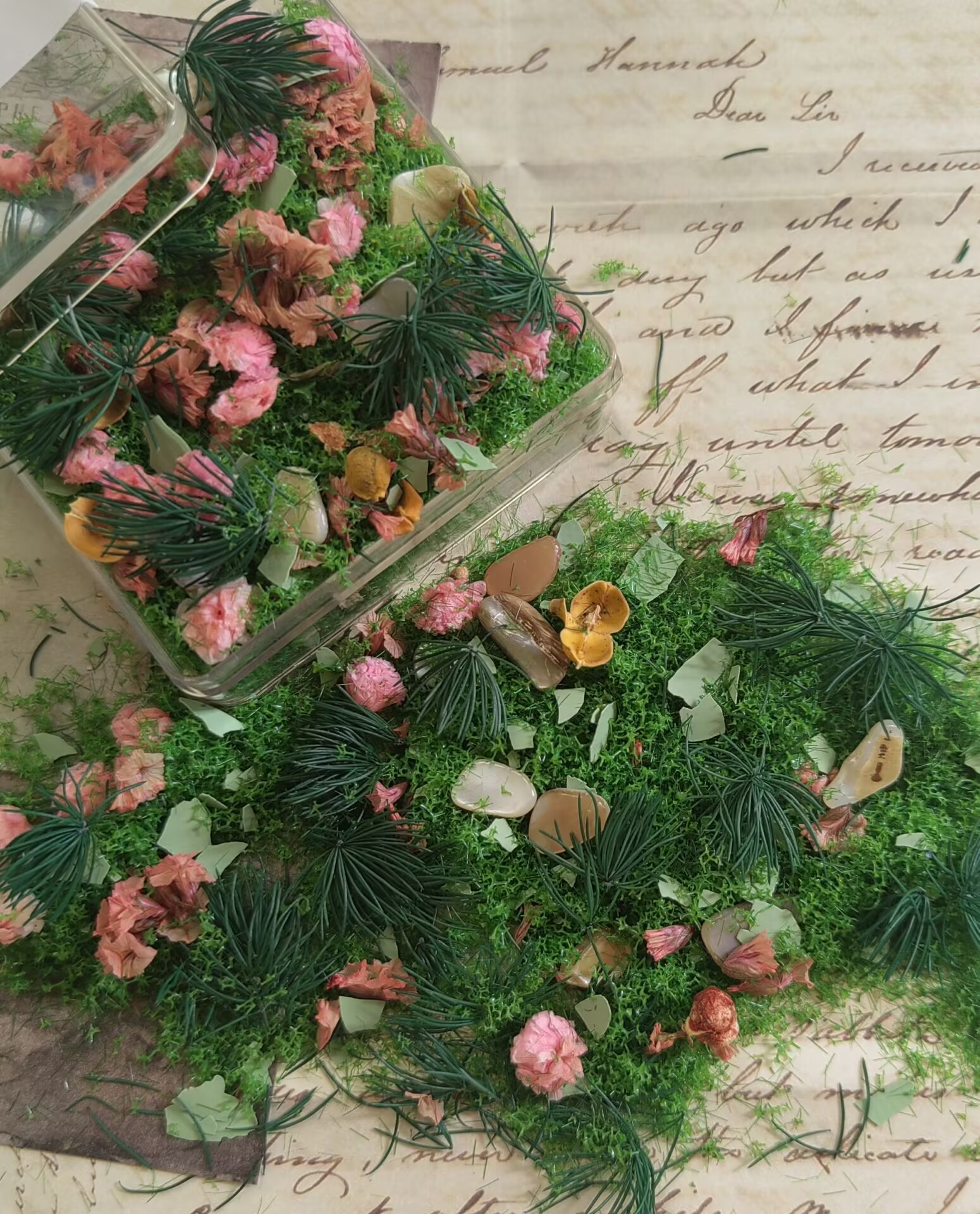 mixed flower and grass